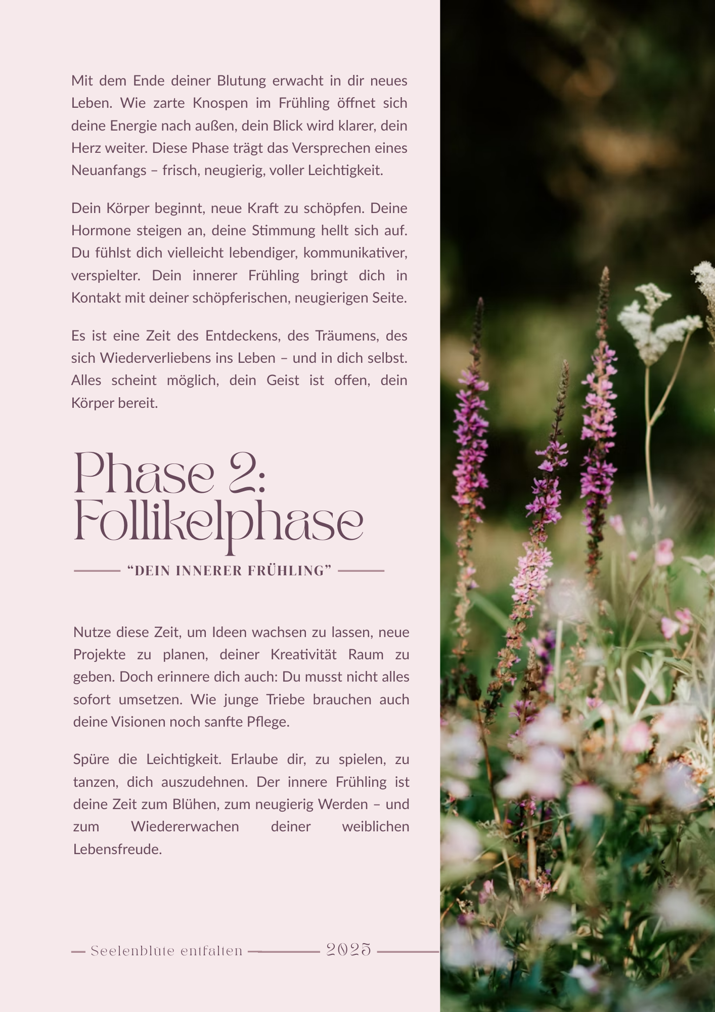 JOURNALVORSCHAU Phase 2 - Dein innerer Fruehling_- Follikelphase